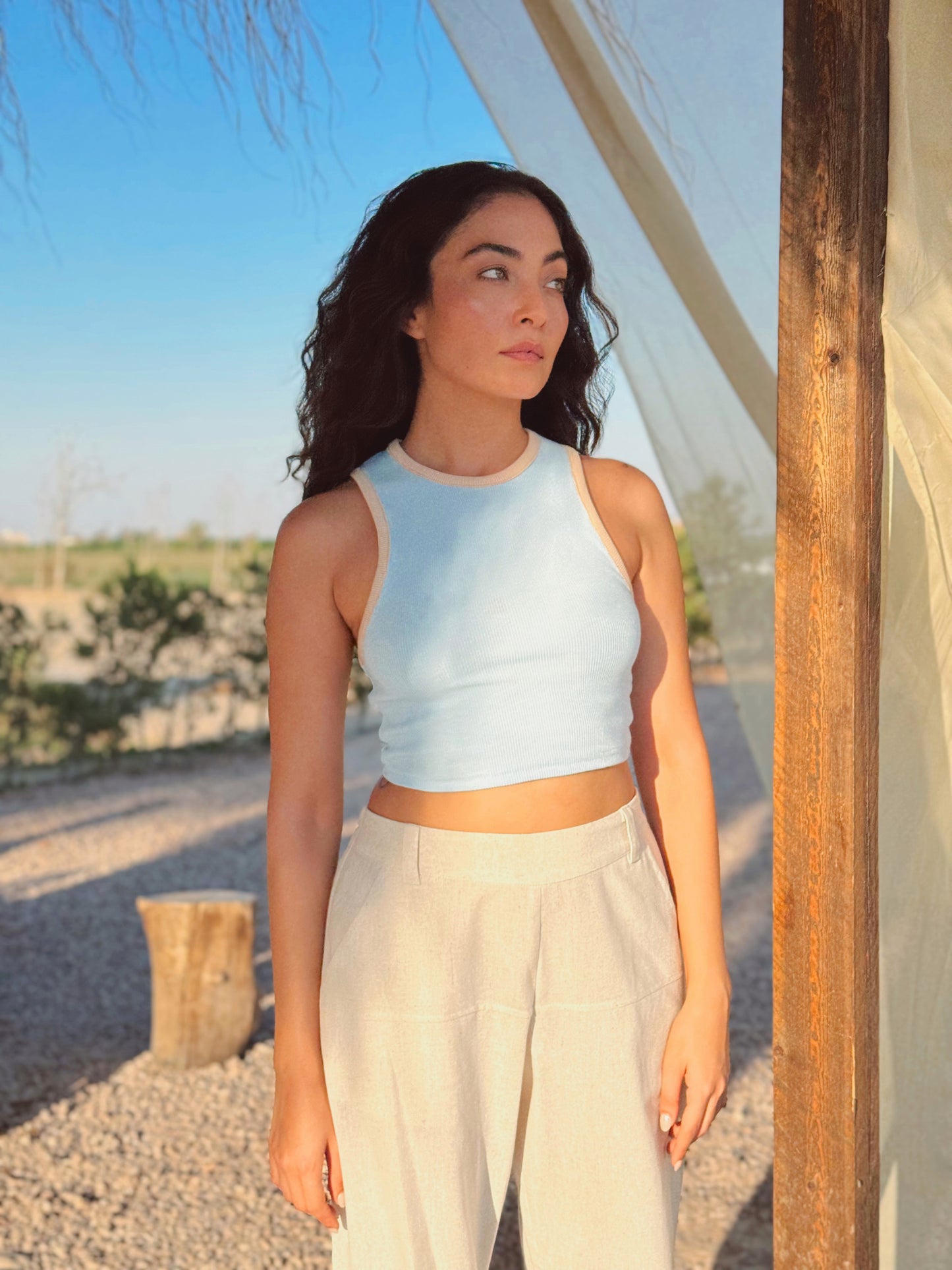 Baby Blue/Beige Ribbed Crop Top